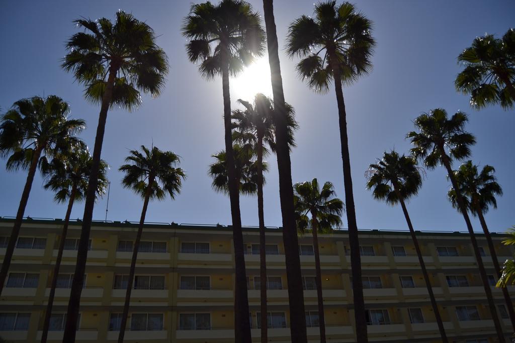 Playa del Sol Hotel - Solo Adultos Playa del Inglés Exterior foto